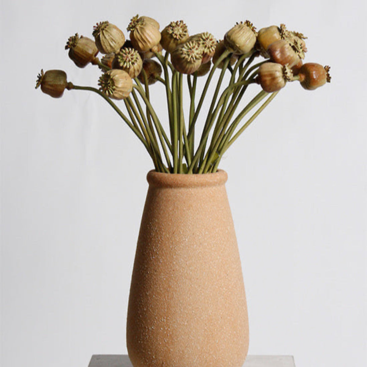 Poppy Seed Stem Dried Look