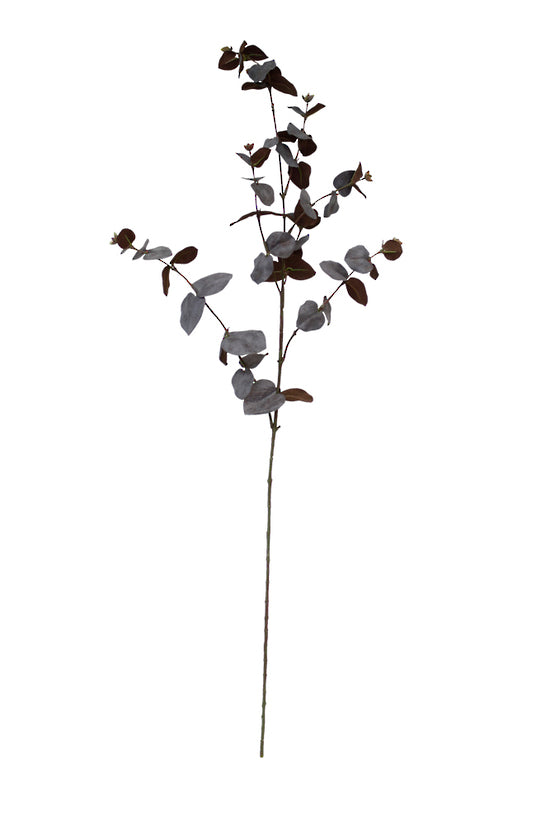 Large Eucalyptus Spray Brown 86cm