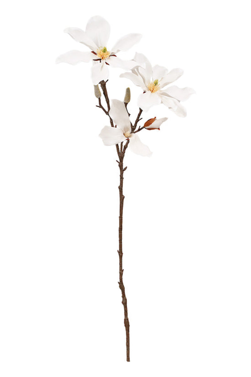 Fairy  Magnolia 78cm White