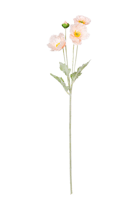 Iceland Poppy Spray 62cm Blush