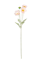Iceland Poppy Spray 62cm Blush