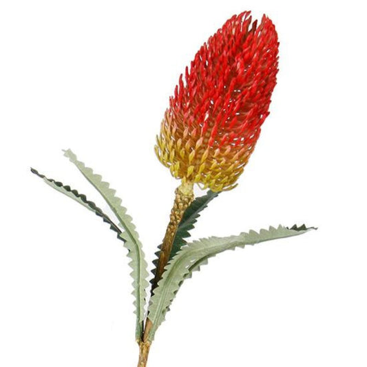 Banksia Spray Red 71 cm