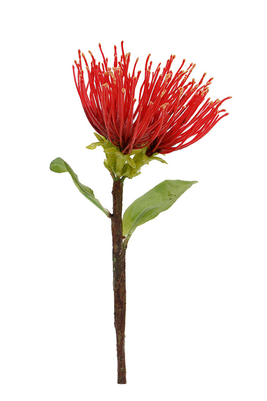 Pohutukawa Pick 20cm