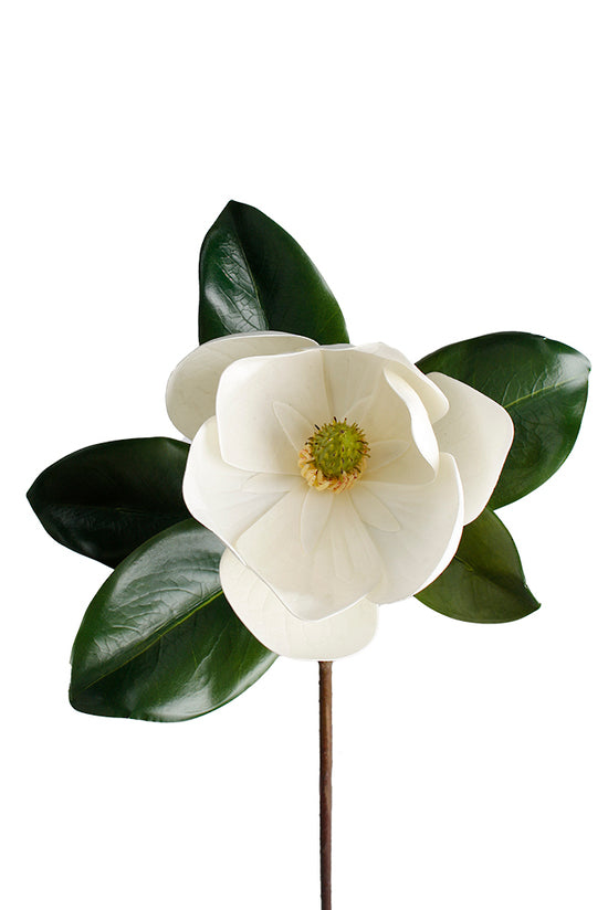 Southern Magnolia Spray 60cm