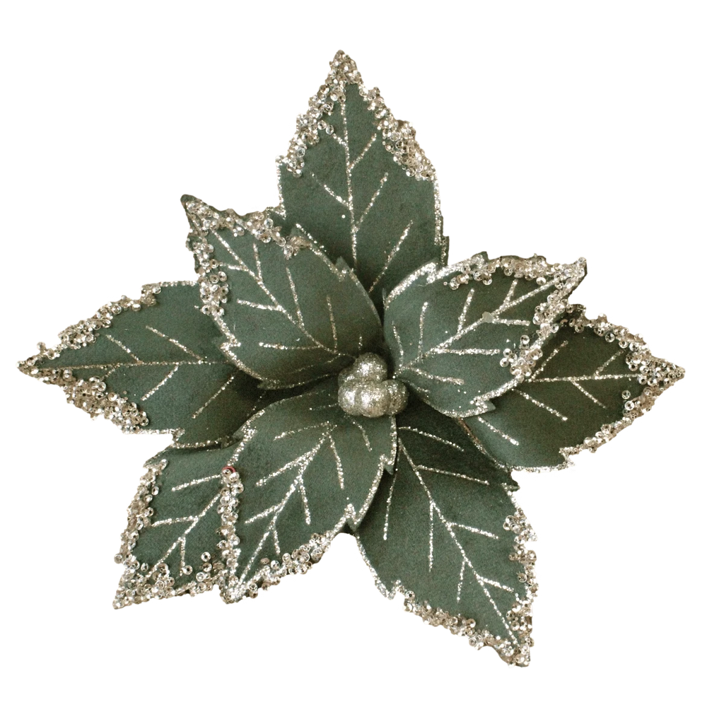 Moss Green Poinsettia