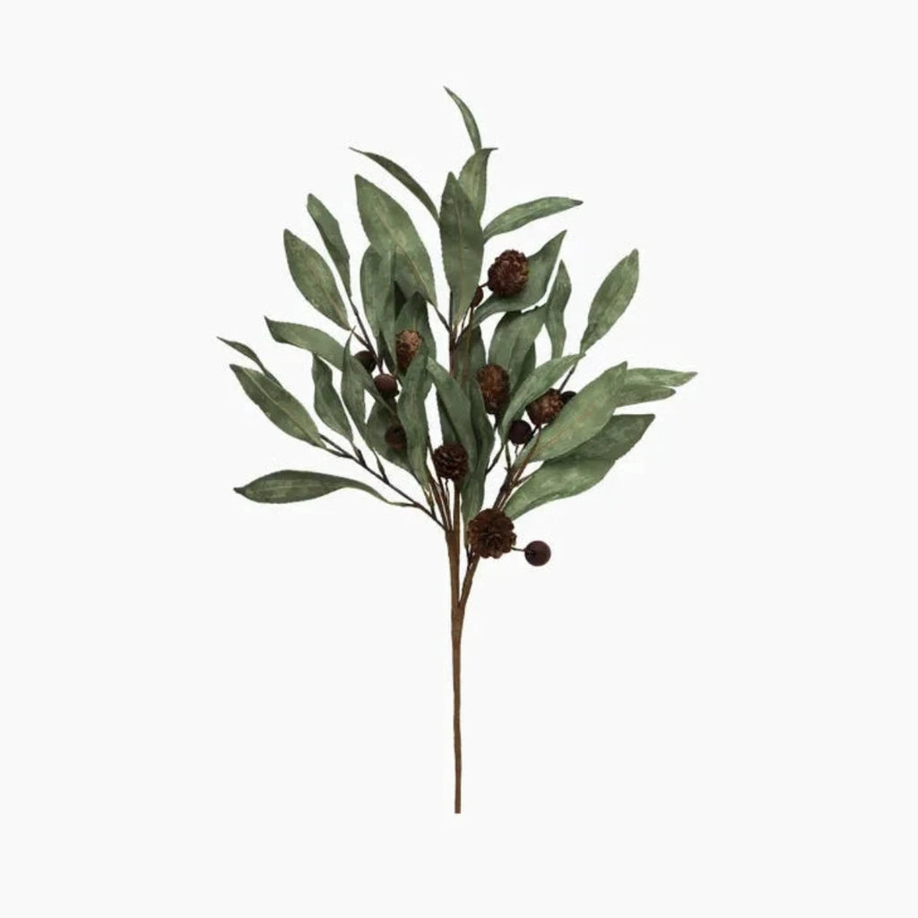 Eucalyptus & Brown Berry Wood Branch