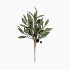 Eucalyptus & Brown Berry Wood Branch