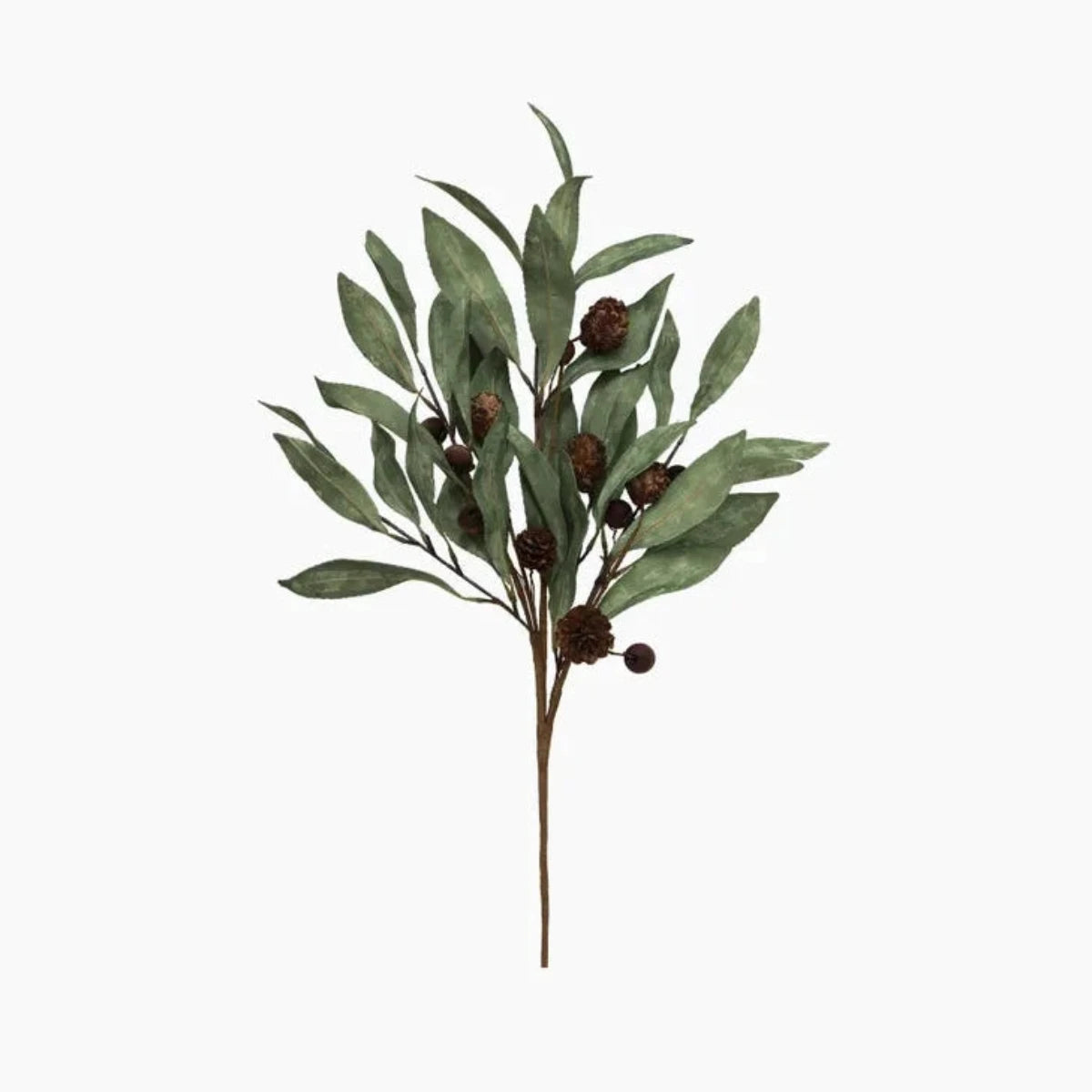 Eucalyptus & Brown Berry Wood Branch