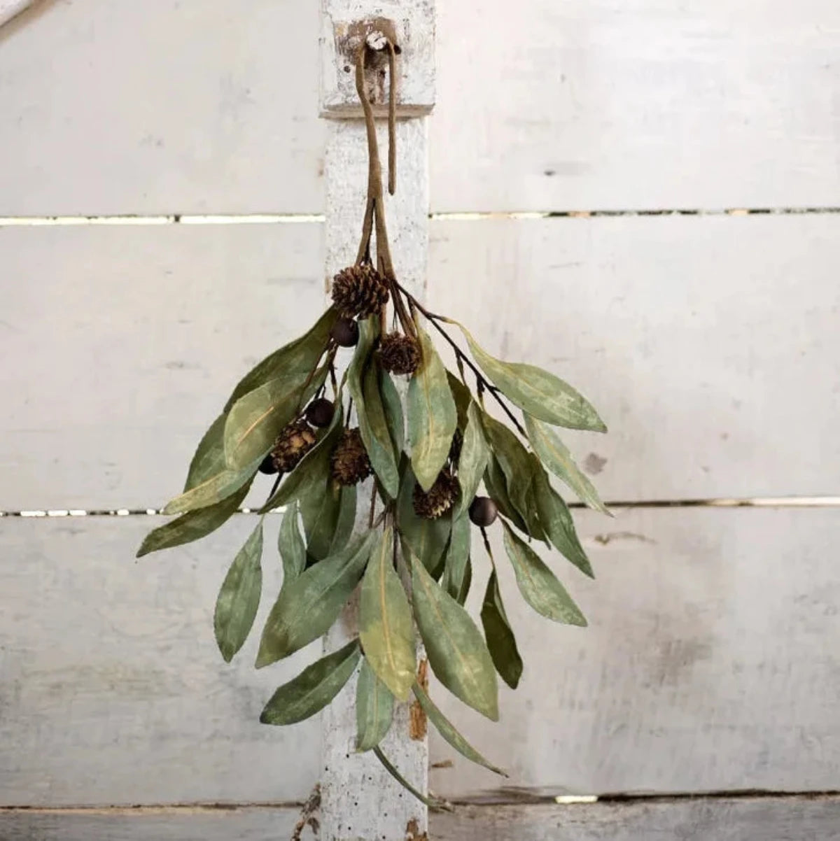 Eucalyptus & Brown Berry Wood Branch