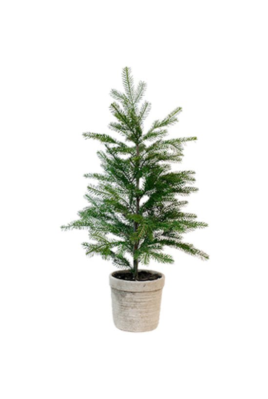 Large Pine Tree w/Cement Pot Colour: Concrete Look