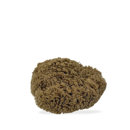 Sea Sponge - Natural Mediterranean