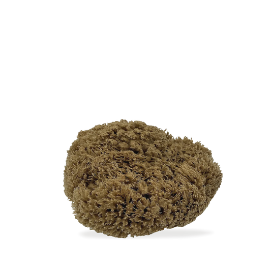 Sea Sponge - Natural Mediterranean