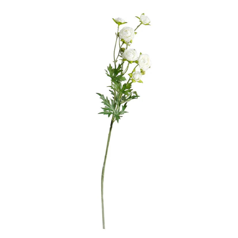 PETIT RANUNCULOUS WHITE SPRAY 56CM