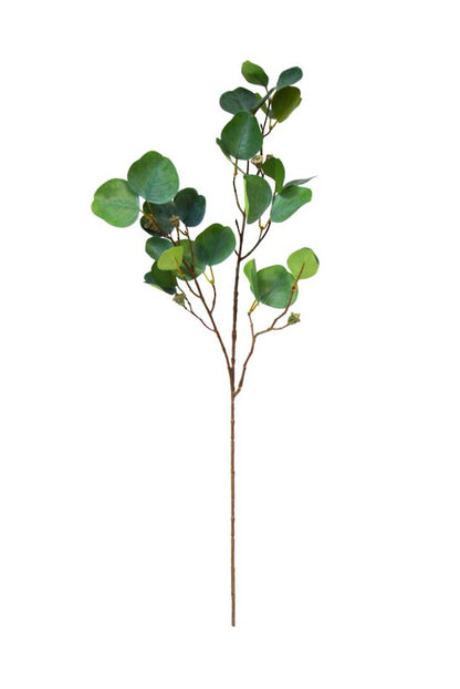 Eucalyptus Radiata Spray 81cm