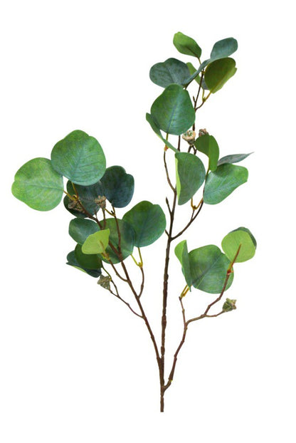 Eucalyptus Radiata Spray 81cm