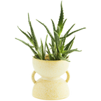 Madam Stoltz Stoneware Flower Pot - 2 Sizes