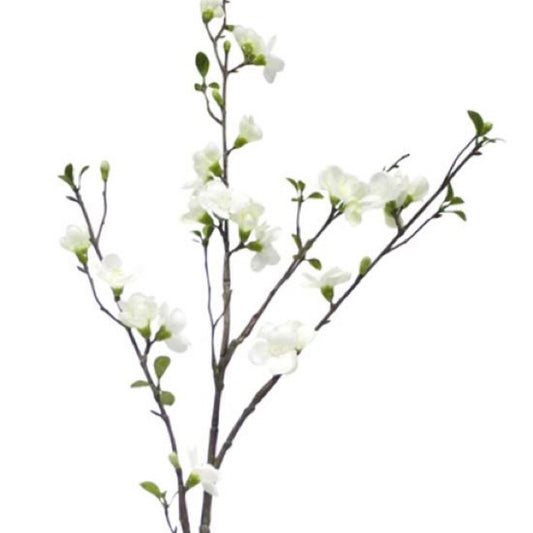 Apple Blossom Spray White