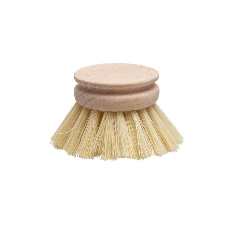 Replacement Dish Brush Head - 50mm