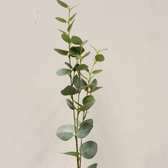 Eucalyptus Spray 80cm