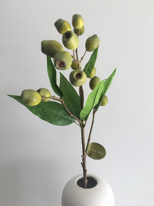 Eucalyptus pod green with green leaves