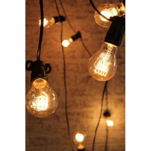 5m Lightbulb Twinkle Festoon Light