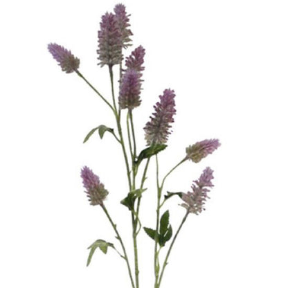 Hare's Foot Clover Spray