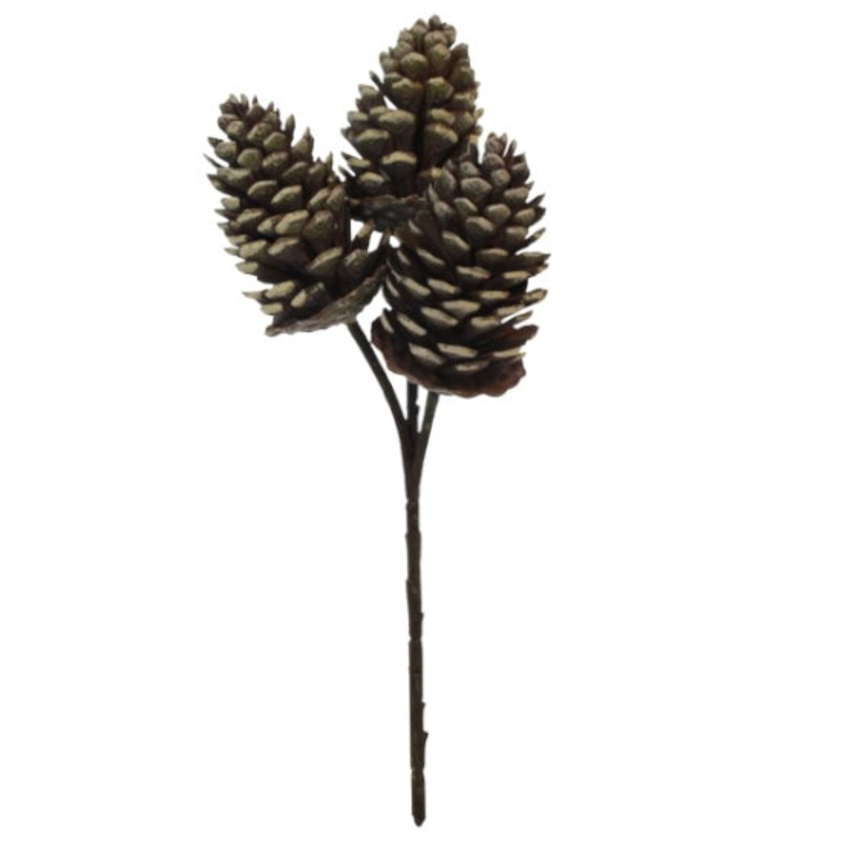Pinecone Pick