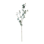 Eucalyptus Spray Grey
