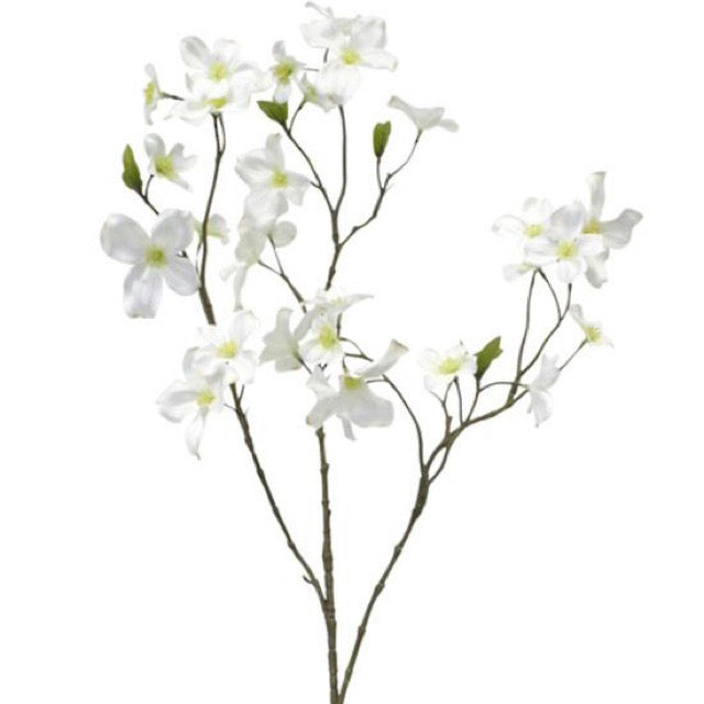 Dogwood Blossom Spray