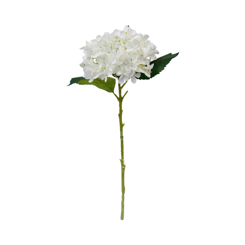 Hydrangea Short Stem 45cm White
